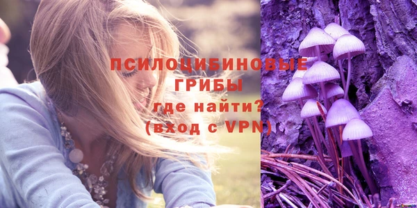 ALPHA-PVP Надым