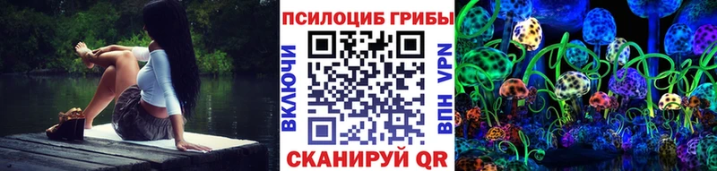 Псилоцибиновые грибы GOLDEN TEACHER  Новоузенск 